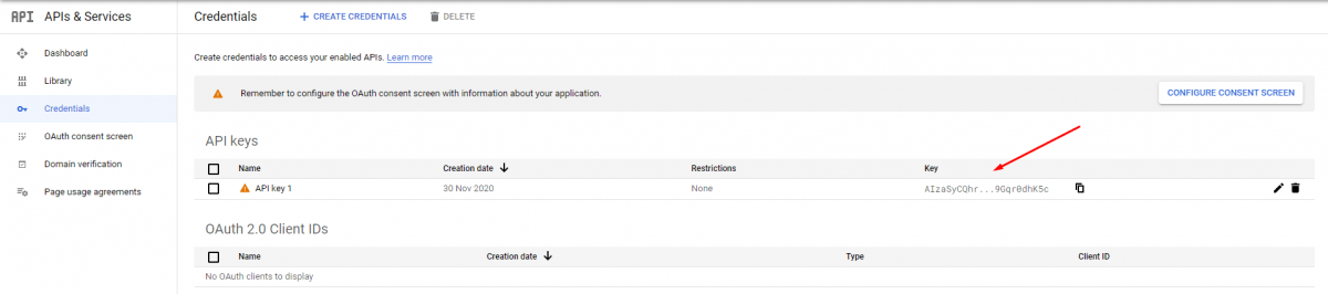 Google Developer Console API Key
