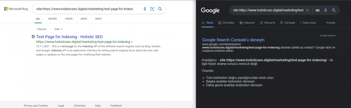 Google Bing Indexing API Test