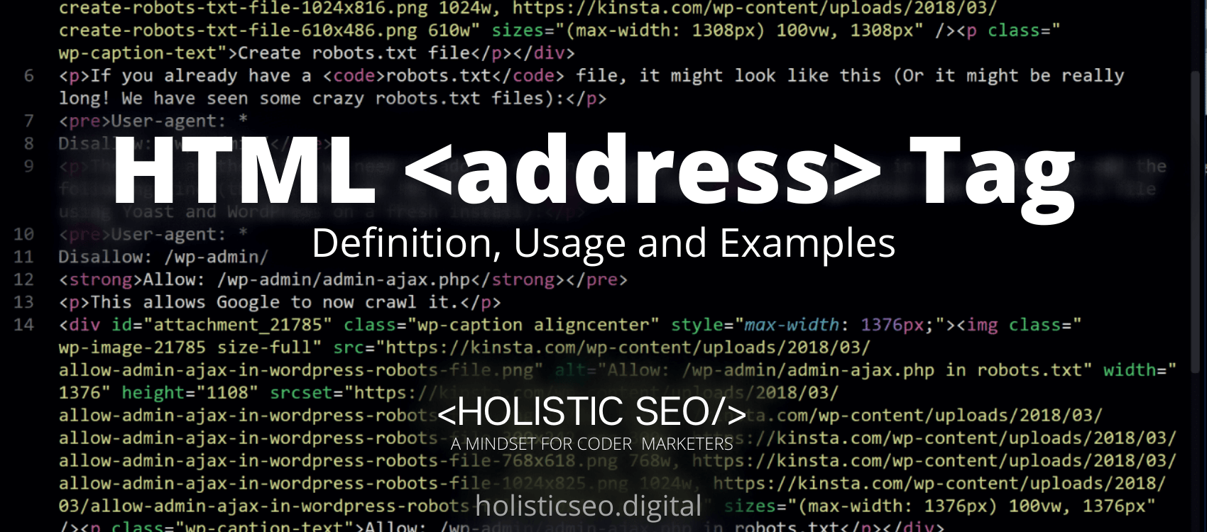 address HTML Tag