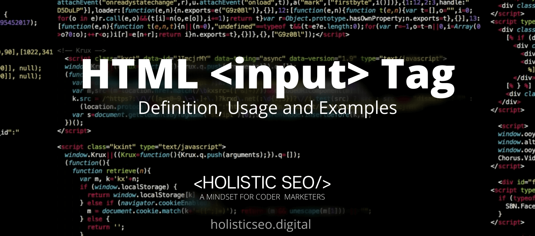 input HTML Tag